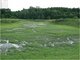 Petesmalom - Vidrapark - Lábod